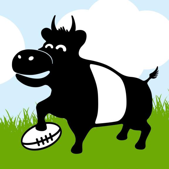 an cartoon picture of a beltie cow with a rugby ball