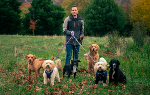 a image of a man with 6 dogs
