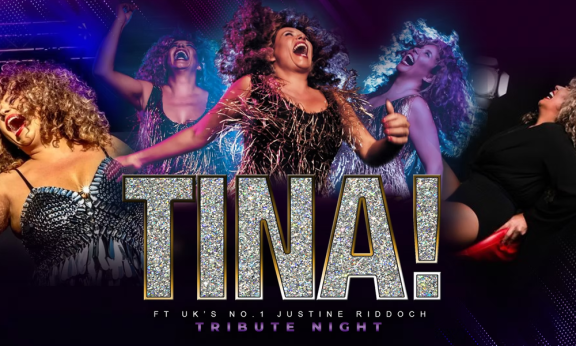 an image of a Tina Turner tribute artist
