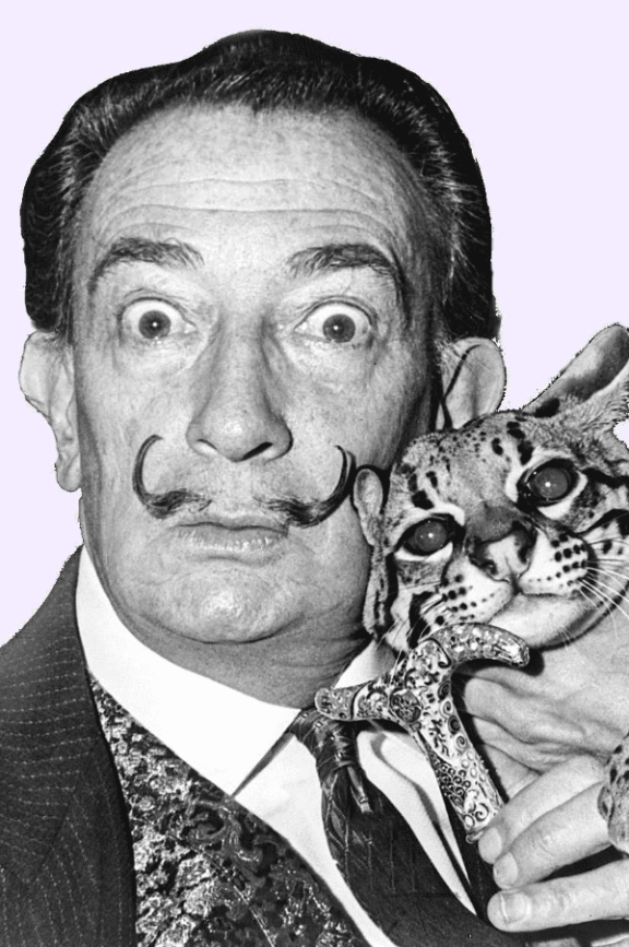 image for 12th may tasdag