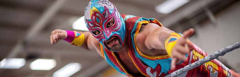 an image of a wrestler